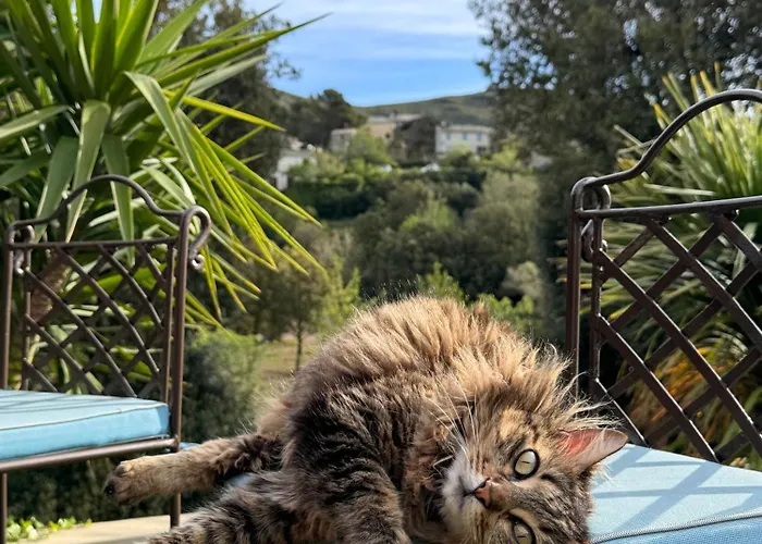 Bed & Breakfast Les 5 Arches - Adult Only 4*